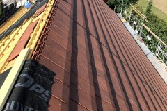 IMG_4385