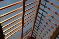 IMG_2900